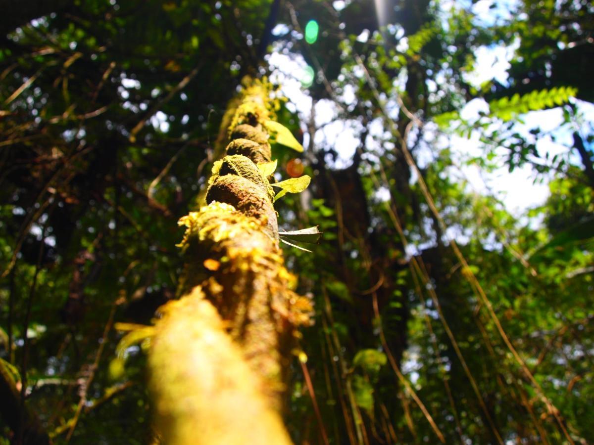 Casa En Santuario Natural En La Amazonia Villa Veracruz  Buitenkant foto