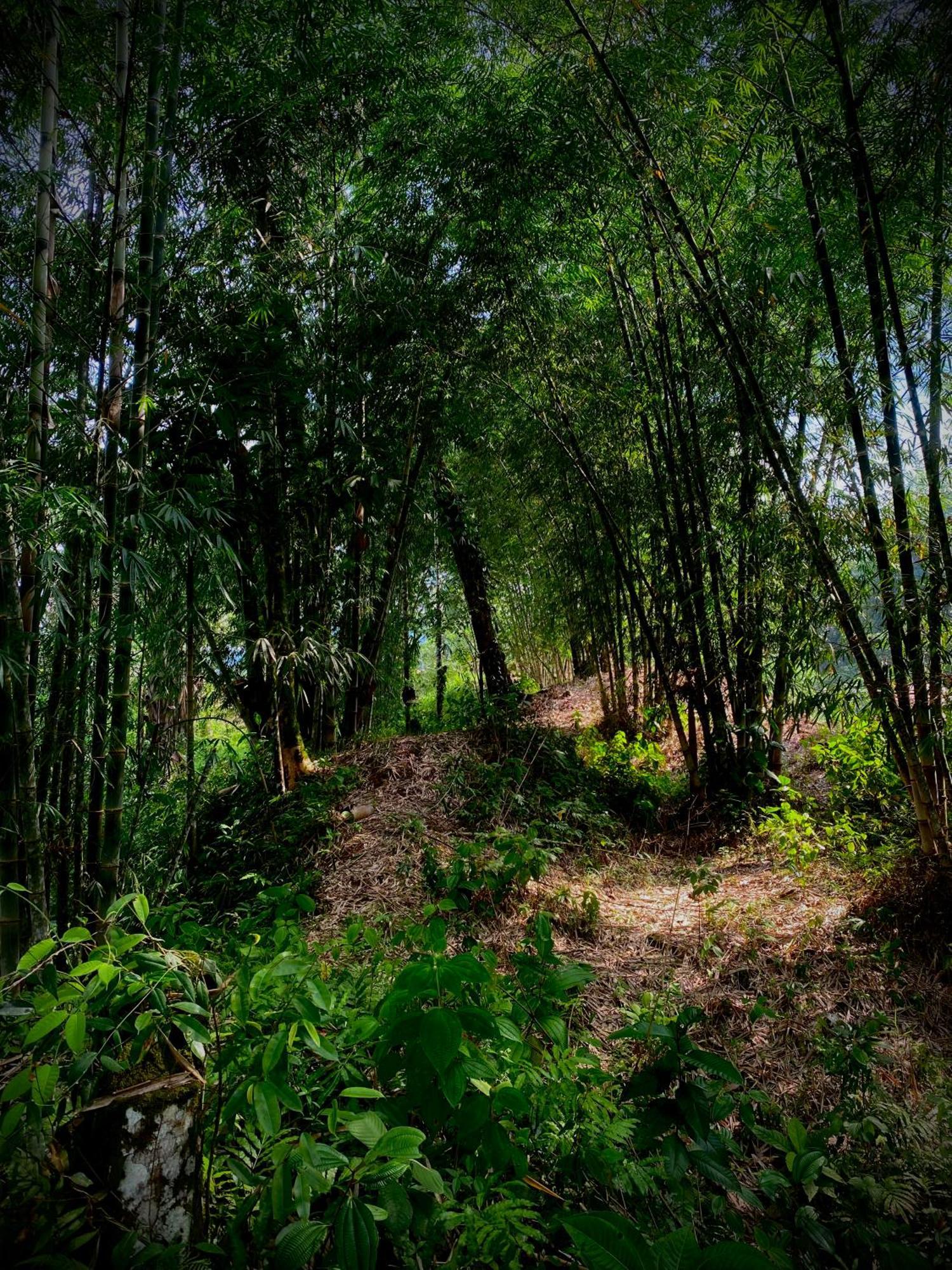 Casa En Santuario Natural En La Amazonia Villa Veracruz  Buitenkant foto