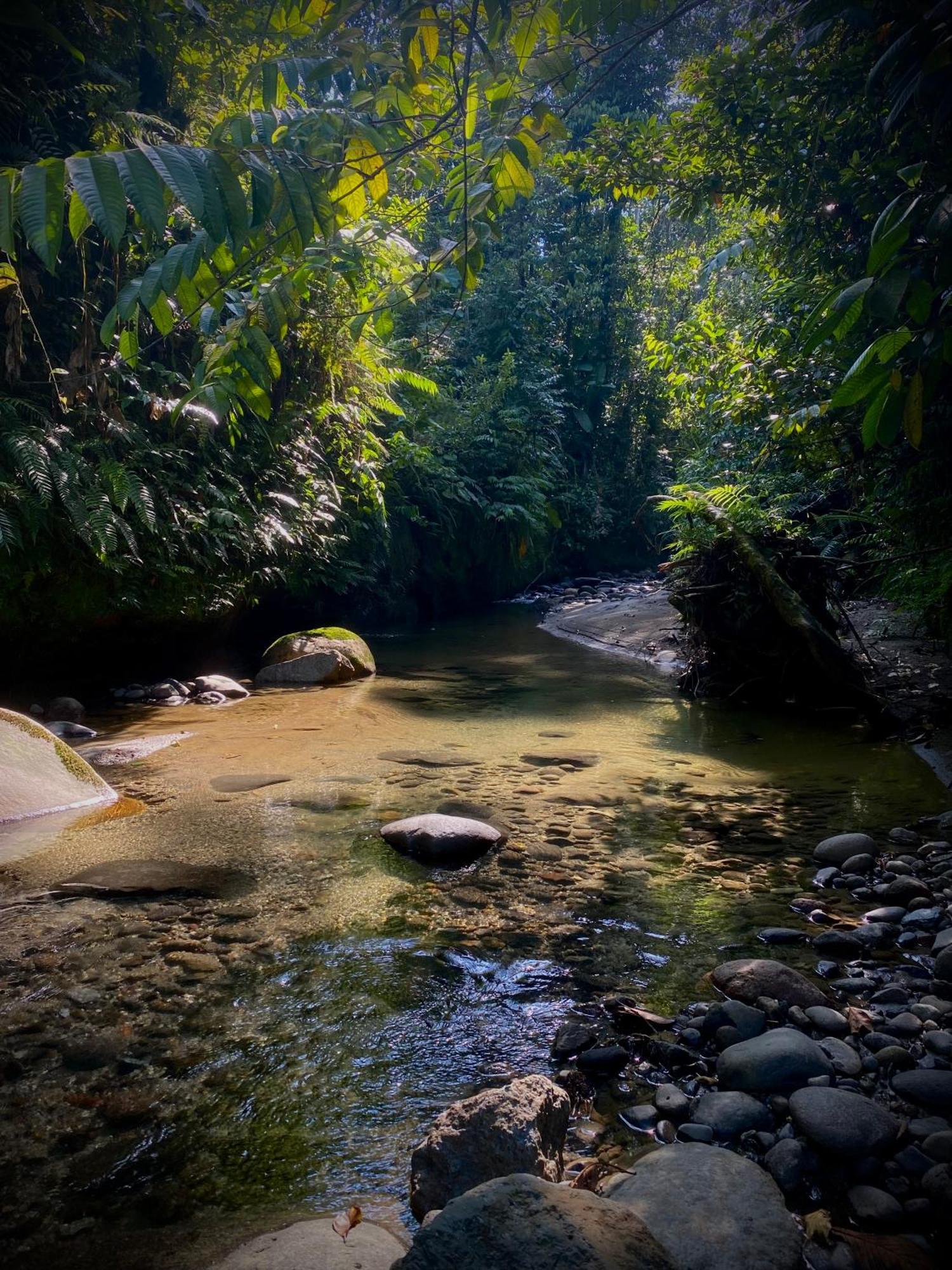 Casa En Santuario Natural En La Amazonia Villa Veracruz  Buitenkant foto