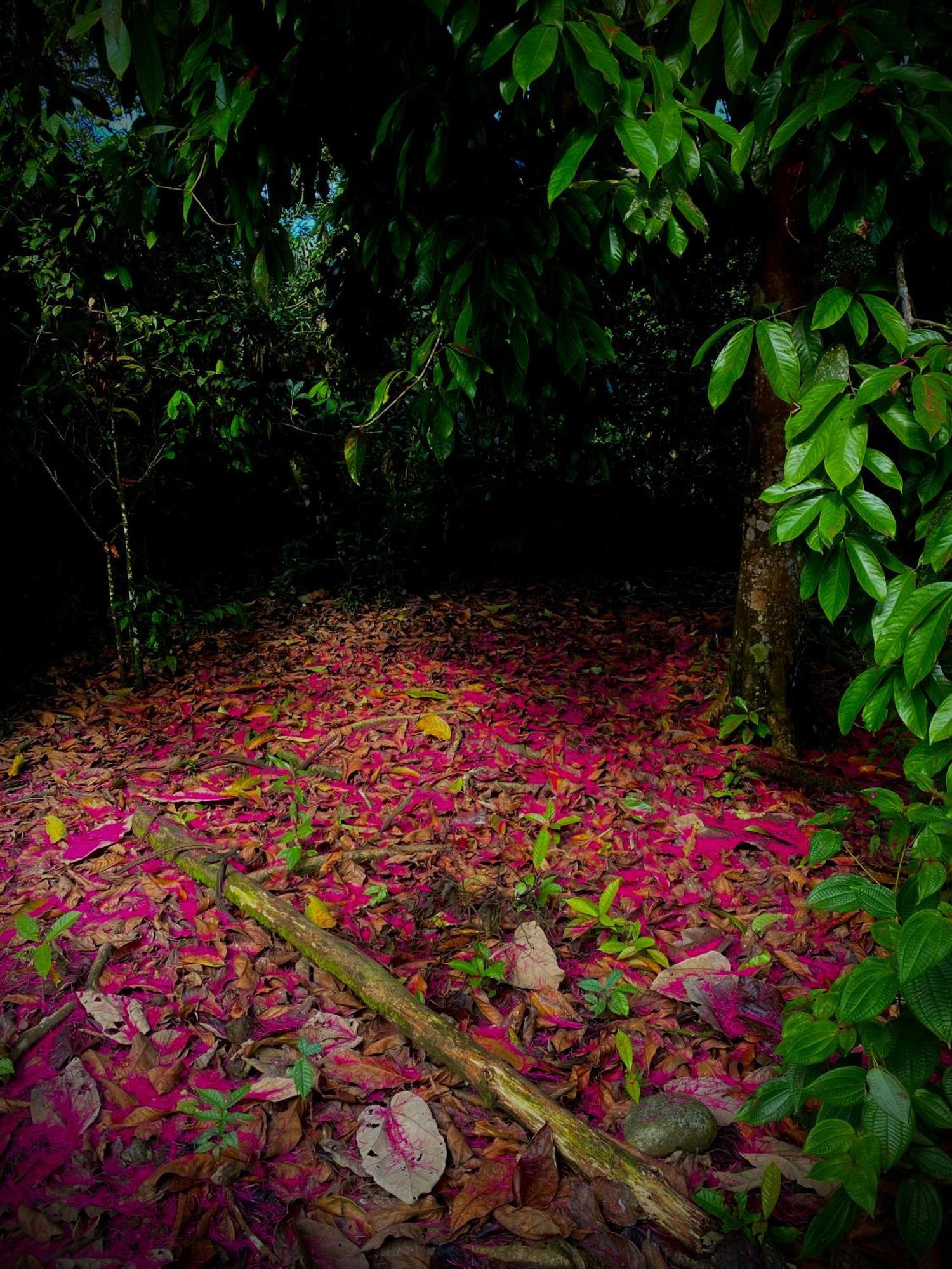 Casa En Santuario Natural En La Amazonia Villa Veracruz  Buitenkant foto